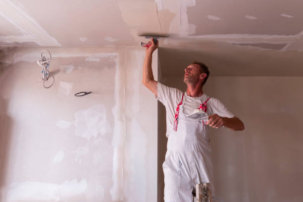 Best Drywall Sanding and Smoothing  in Roebling, NJ